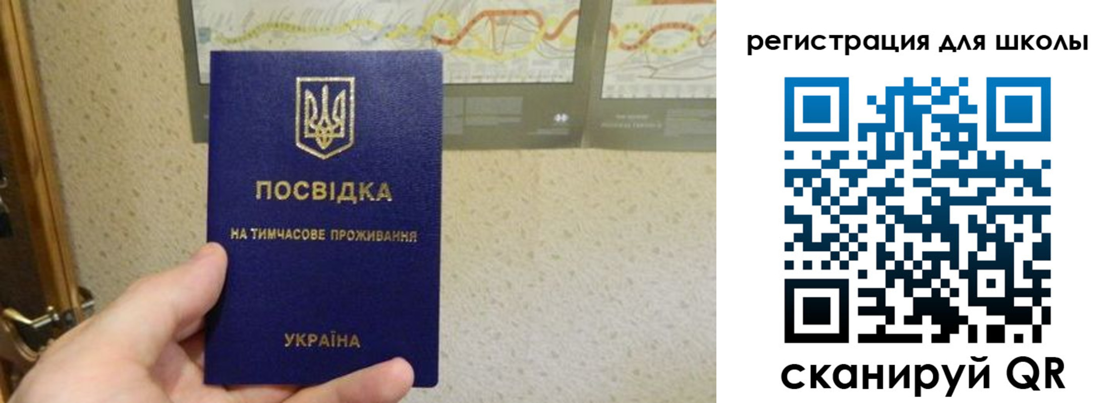 форма 3 в Амурской области